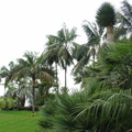 DSC02241