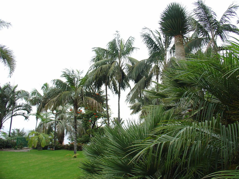 DSC02241