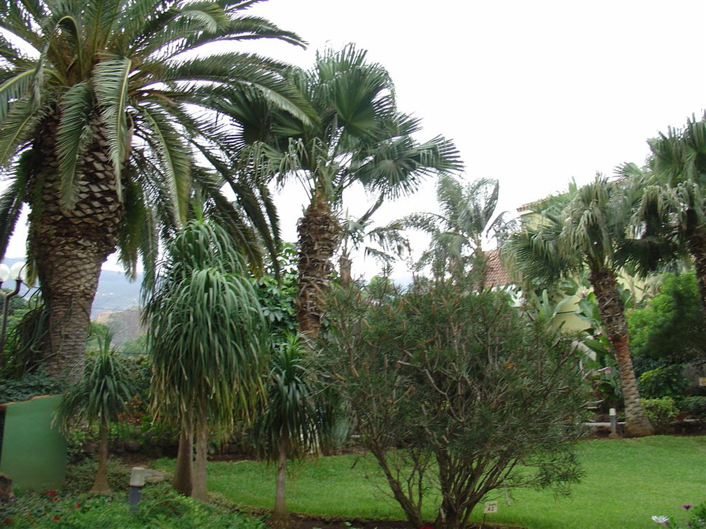 DSC02244