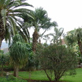 DSC02244