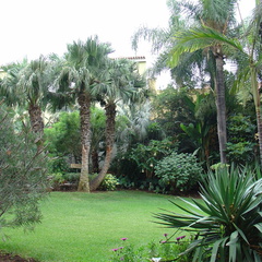 DSC02245