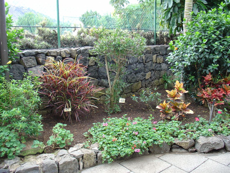 DSC02246