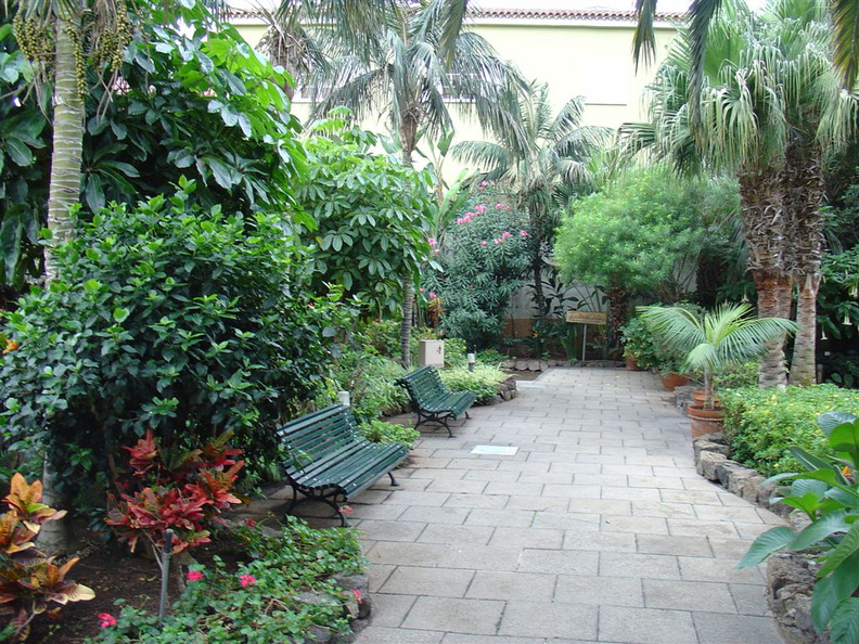 DSC02247