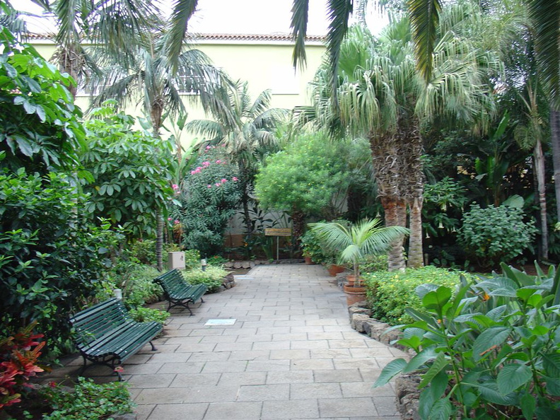 DSC02248