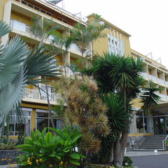 DSC02252