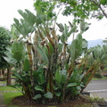 DSC02254
