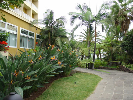 DSC02258