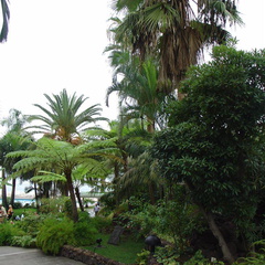 DSC02260