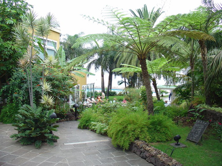 DSC02261