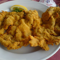 DSC01495