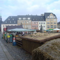 DSC03300