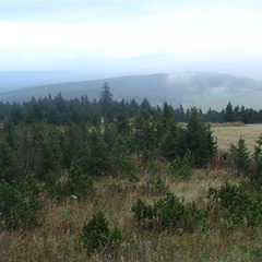 DSC03344