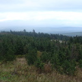 DSC03345