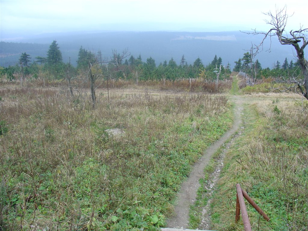 DSC03348