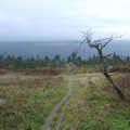 DSC03349