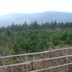 DSC03352