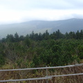DSC03353