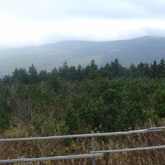 DSC03353