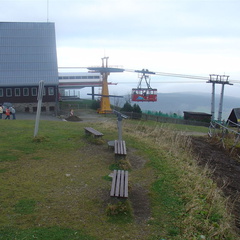 DSC03354