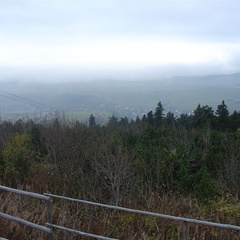 DSC03357