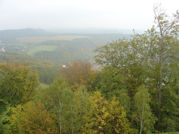 DSC03363