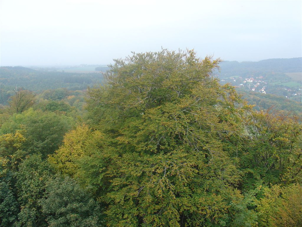 DSC03365