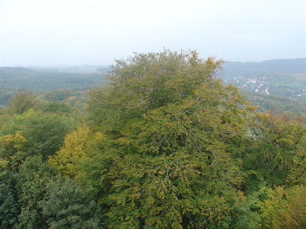 DSC03365