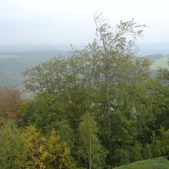 DSC03366