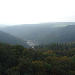 DSC03369
