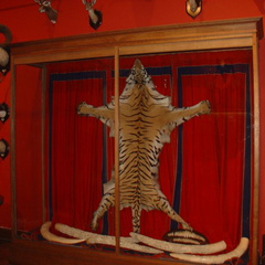 DSC02560