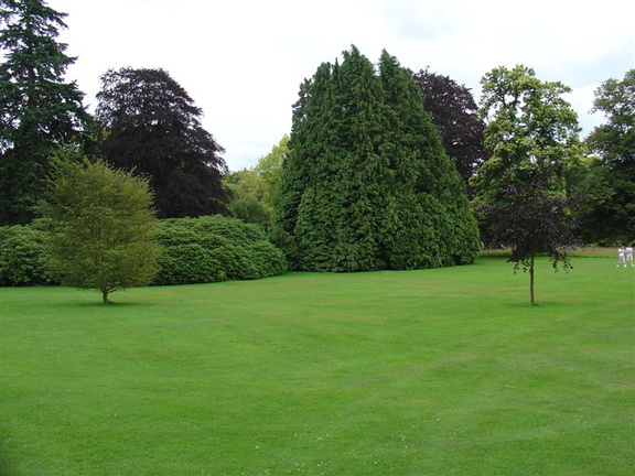 DSC02565