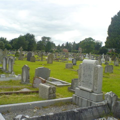 DSC01563