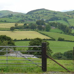 DSC02583