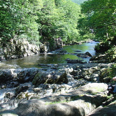 DSC02624