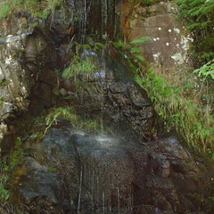 DSC02629