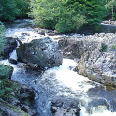 DSC02630