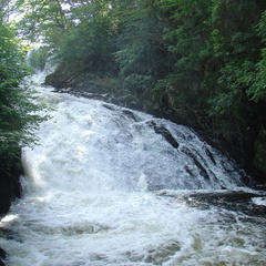 DSC02637