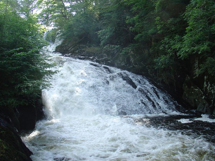 DSC02638