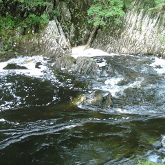 DSC02642
