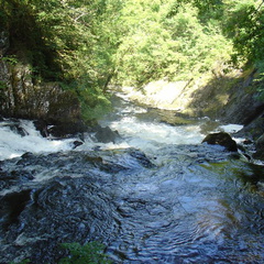 DSC02643