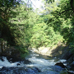DSC02644