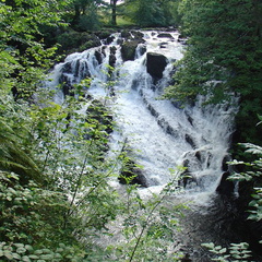 DSC02646