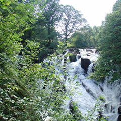 DSC02649