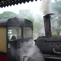 DSC02667