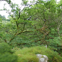 DSC02669