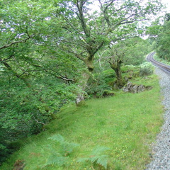 DSC02670