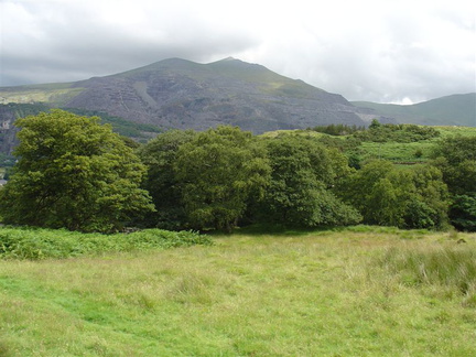 DSC02674
