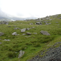 DSC02683