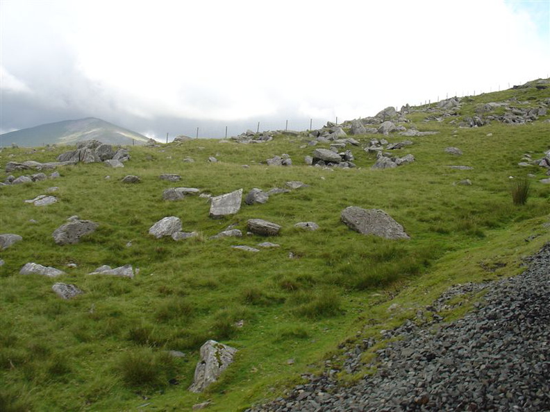 DSC02683