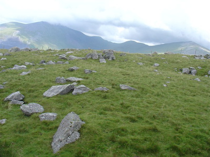 DSC02684
